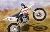 2013 Qlink DB 250 photo
